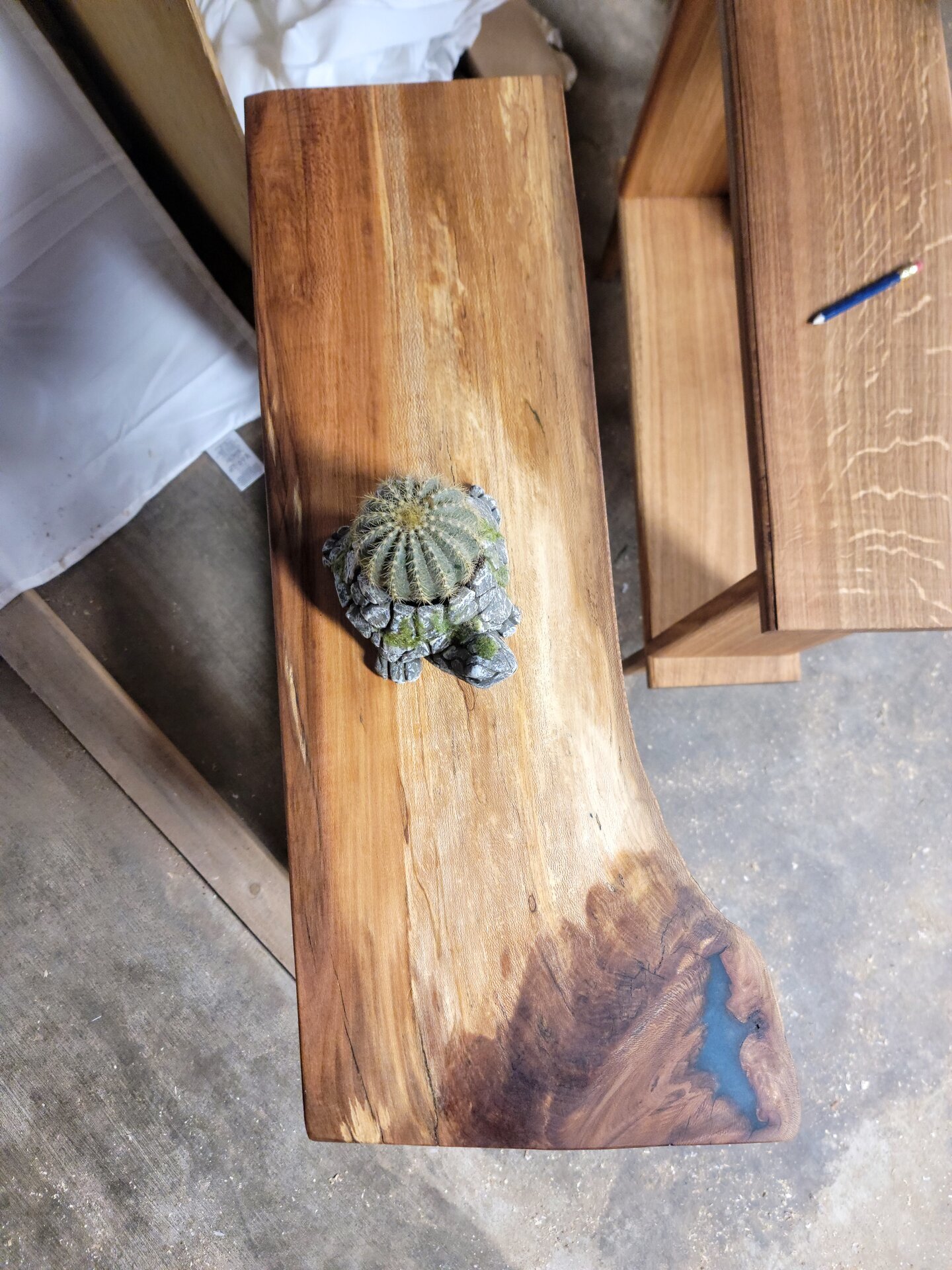 Live edge slab with cactus